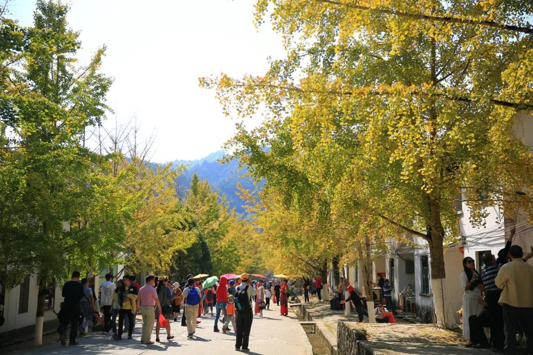 南雄最新現(xiàn)狀，科技前沿產(chǎn)品引領(lǐng)未來生活發(fā)展