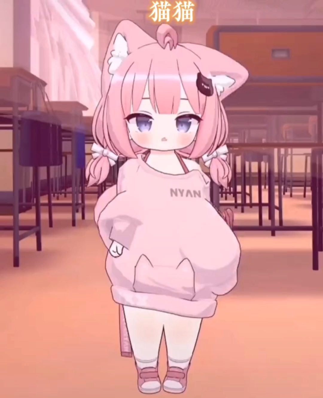 貓妹妹最新動態(tài)，萌態(tài)盡顯，溫暖你的心??