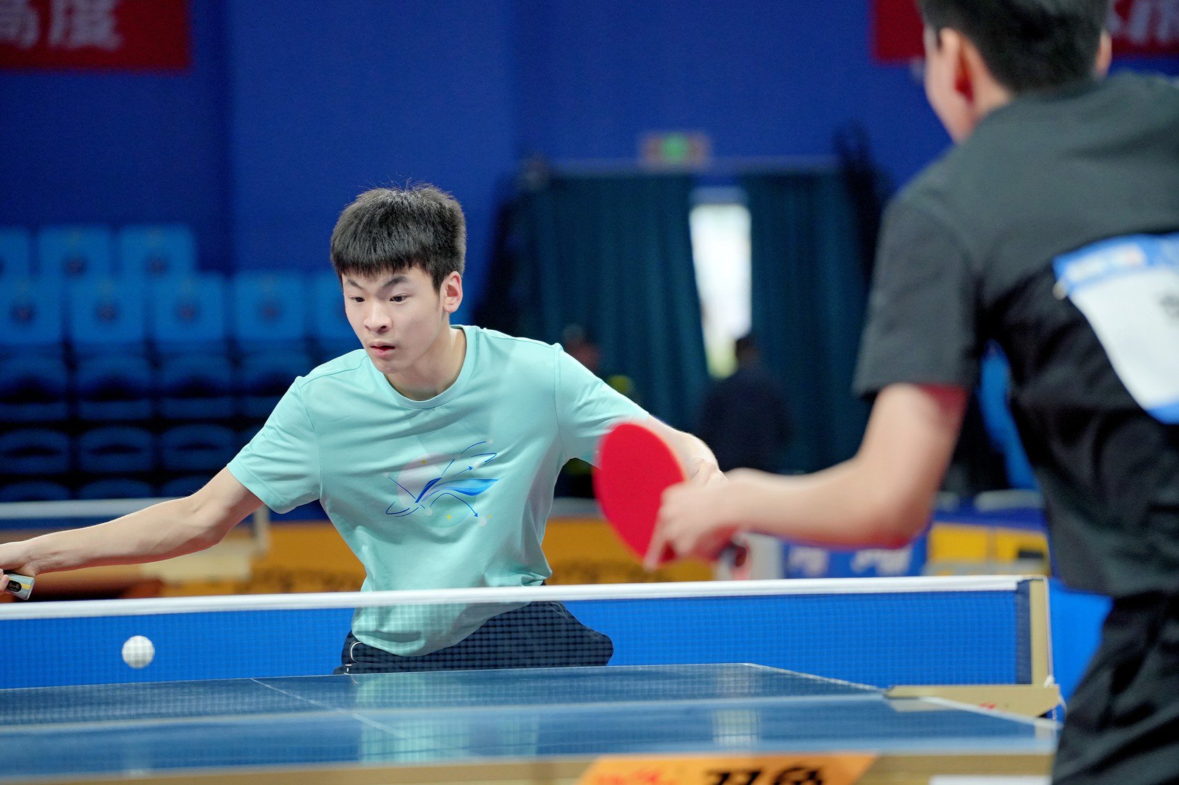 乒乓比賽最新動(dòng)態(tài)與成長(zhǎng)指南，一步步成為乒乓高手之路