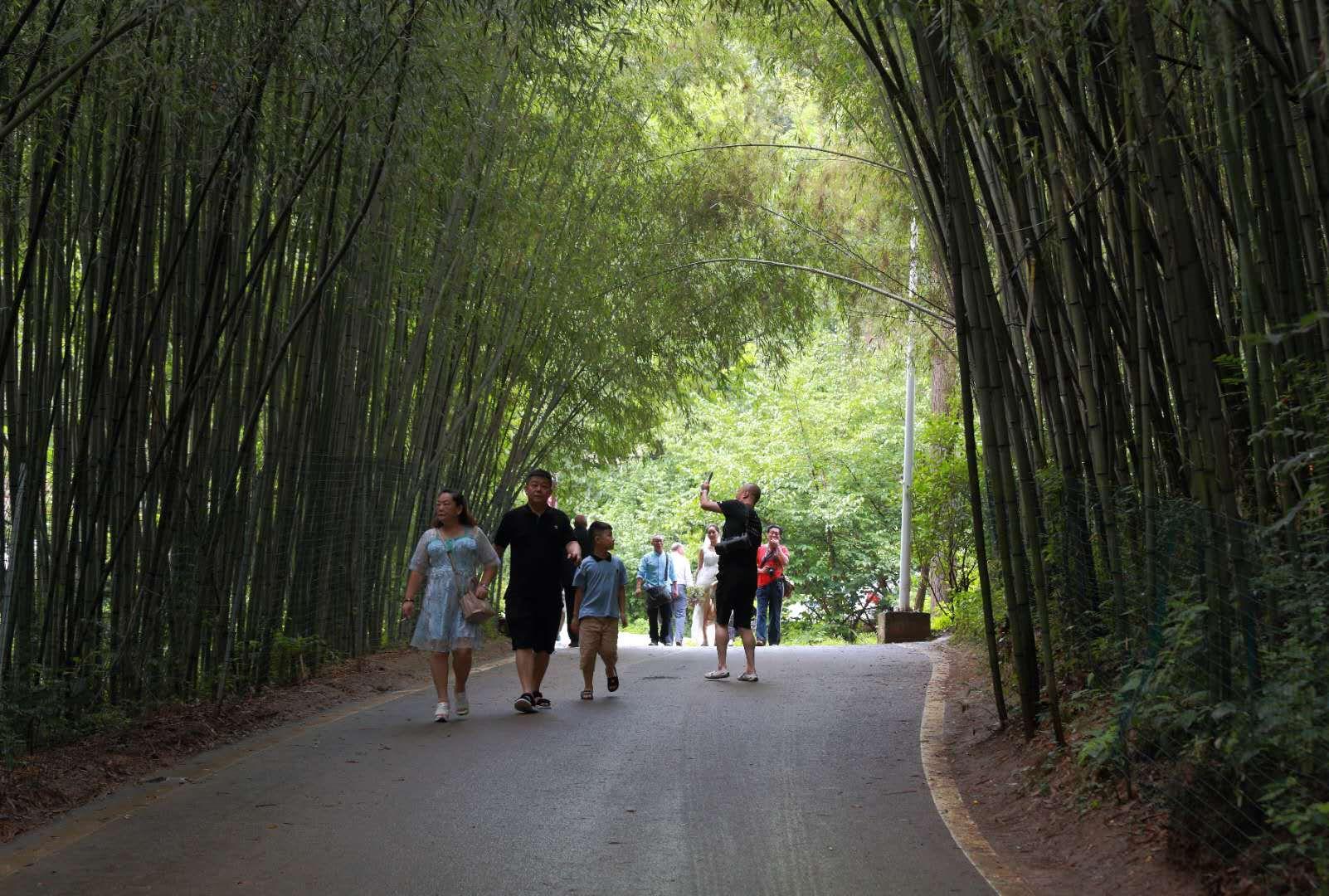 全家最新優(yōu)惠攻略，一步步教你享受最大優(yōu)惠折扣！