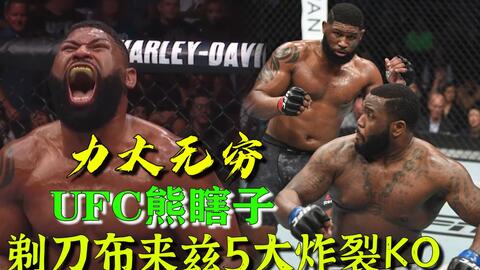 小菊最新比賽，友誼與夢想的絢爛綻放