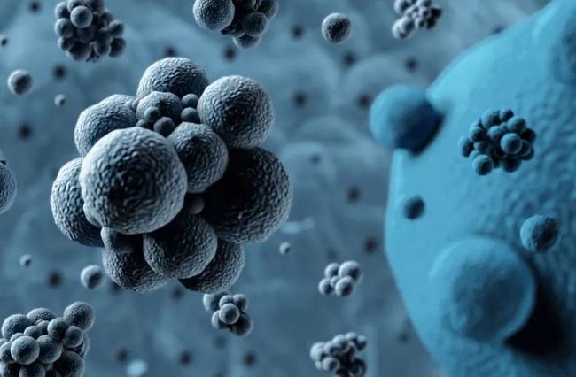 病毒擴散最新情況，自然探險之旅尋求內(nèi)心平和之地