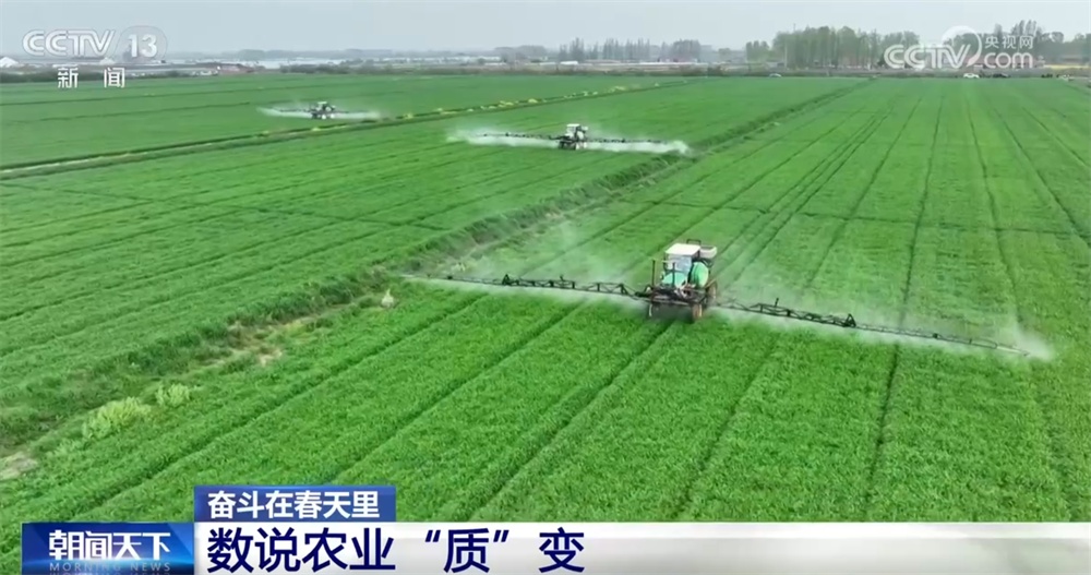 最新農業(yè)農村發(fā)展，播種希望，收獲自信與成就感