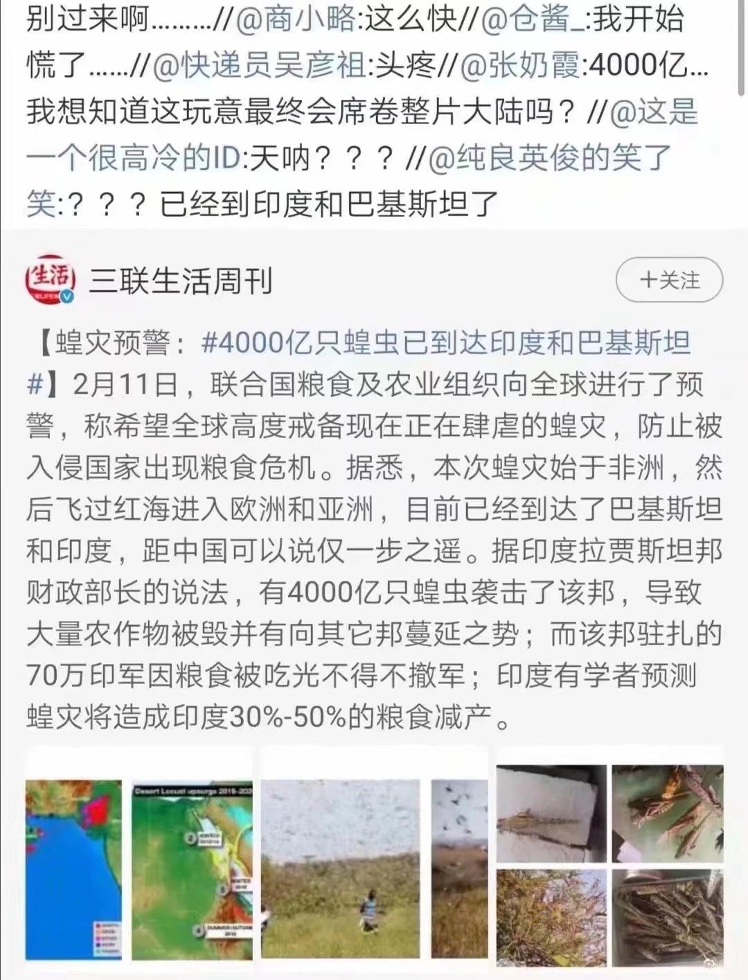 蝗蟲最新動態(tài)，防治與監(jiān)測的全面指南