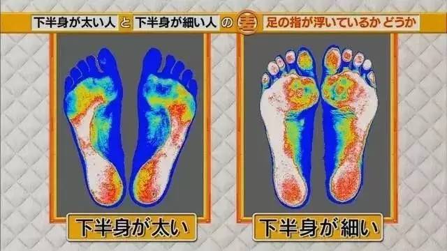 最新地趾論述，探索、爭議與觀點綜述