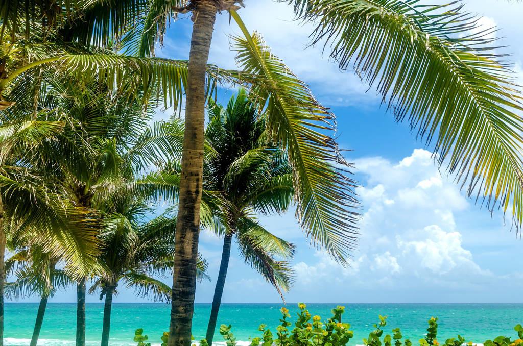 科技重塑旅行體驗(yàn)，最新付費(fèi)機(jī)場概覽