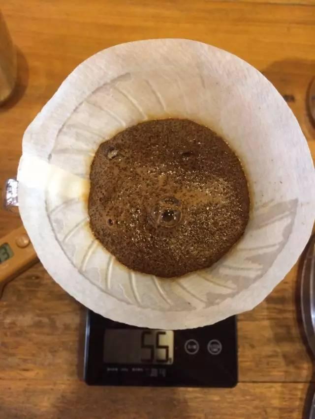 最新萃取法詳解，步驟指南與操作技巧