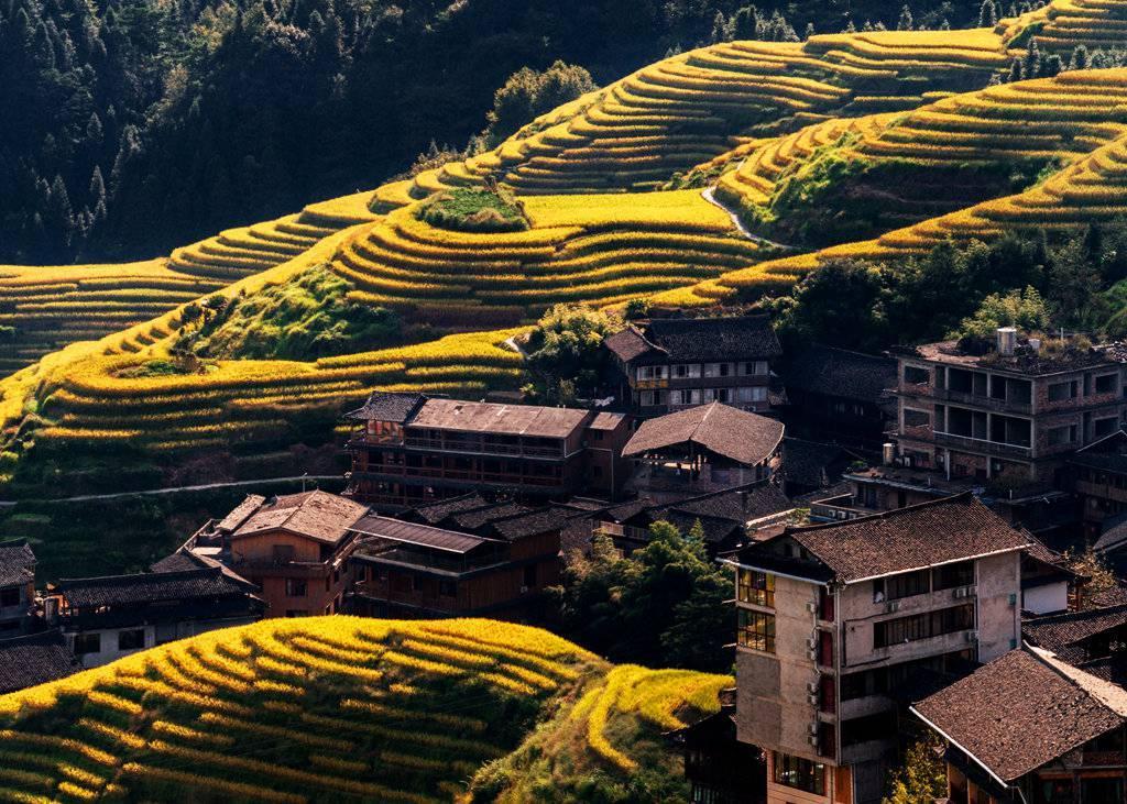 金秋天最新時(shí)尚潮流，獨(dú)特風(fēng)情展現(xiàn)魅力風(fēng)采