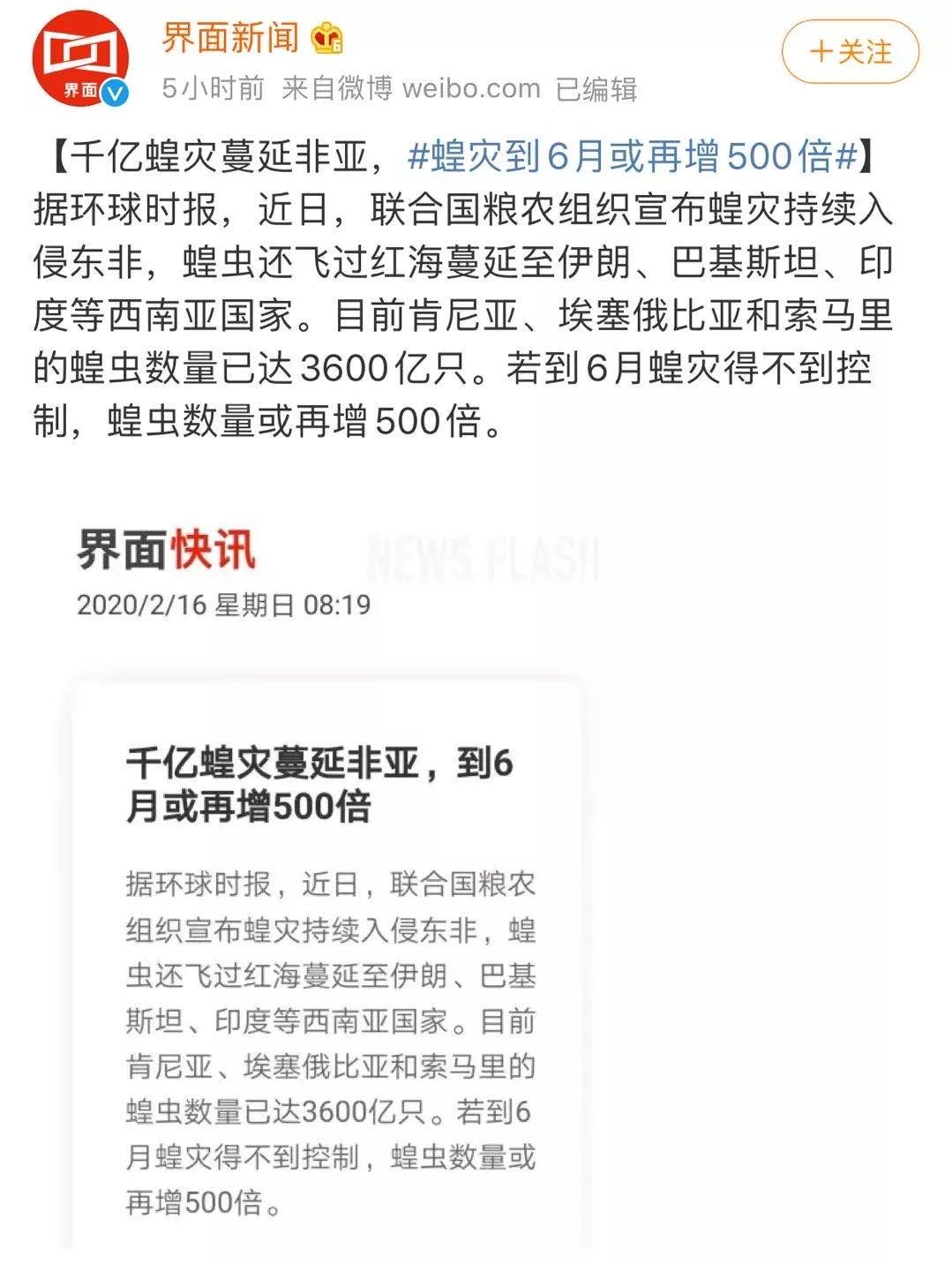 世界蝗災(zāi)最新動態(tài)，探索自然美景的輕松之旅