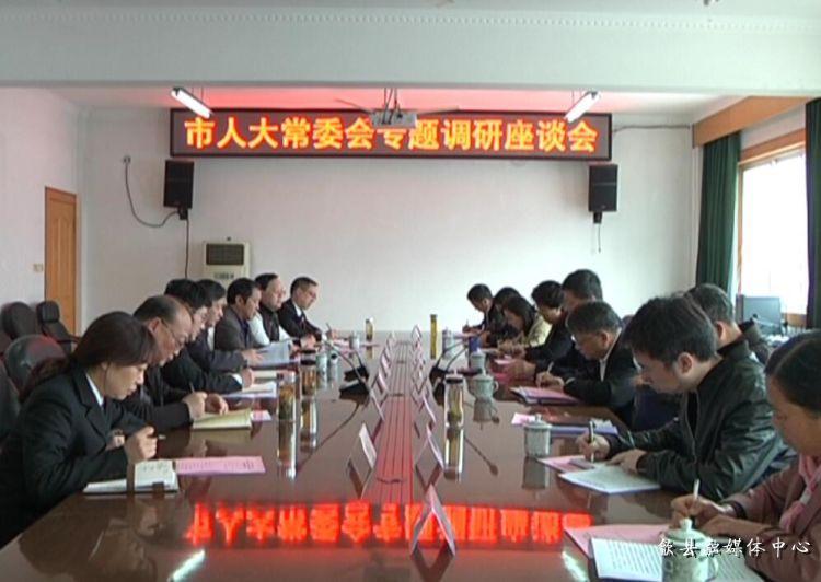 安徽歙縣最新動(dòng)態(tài)，小巷深處的驚喜