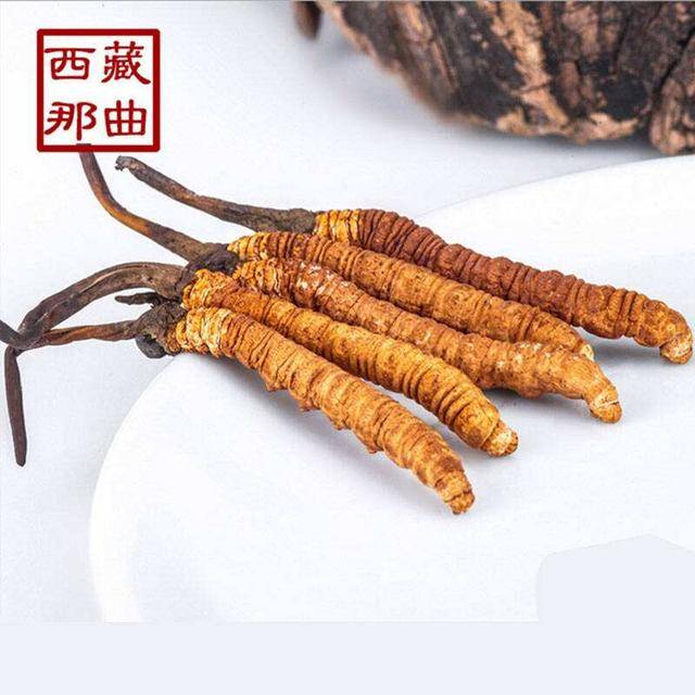 揭秘2025年蟲草最新價(jià)格，探尋小巷中的秘密行情！