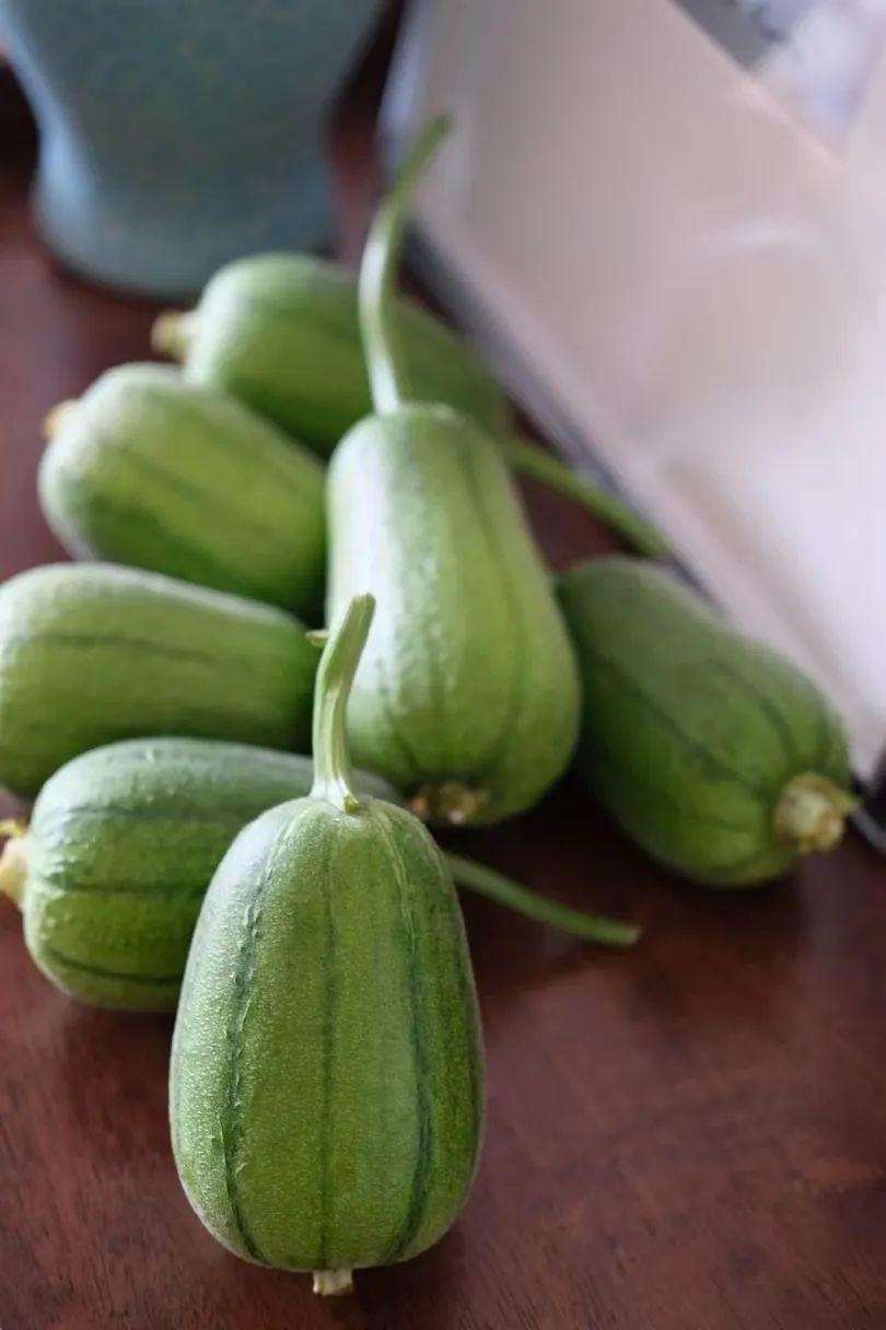 蘋果絲瓜最新版，全新升級魅力體驗