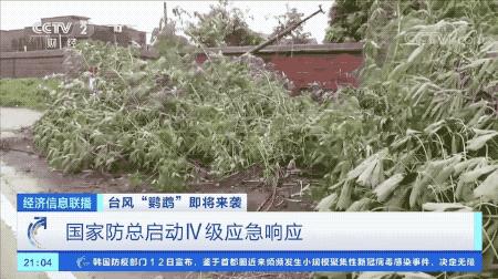 超強(qiáng)臺風(fēng)鸚鵡來襲，最新路徑動態(tài)全解析???