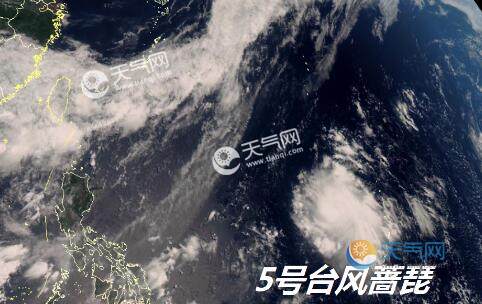 最新實(shí)時(shí)臺(tái)風(fēng)風(fēng)力查詢指南，風(fēng)力信息及查詢步驟全解析