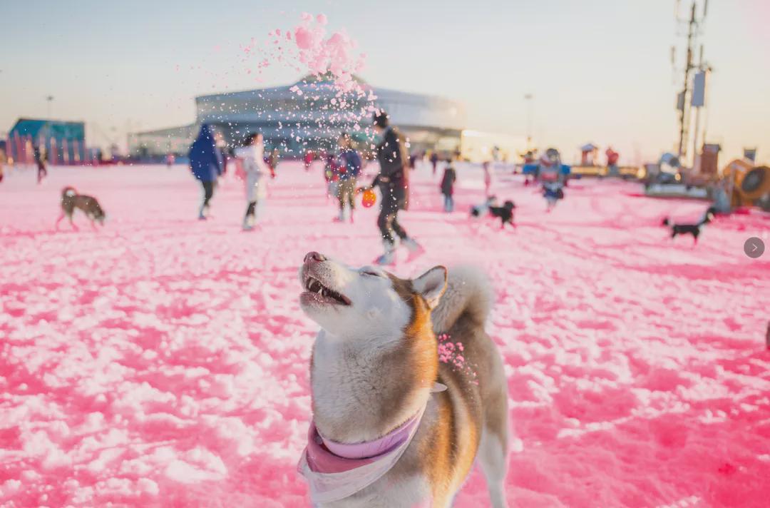 小信的世界最新科技前沿產(chǎn)品亮相，生活變革從此刻啟程